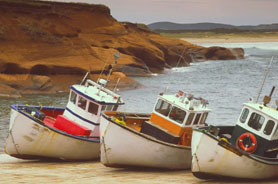 Activités en mer, cuisine de la mer et lieux d'hébergement dans la région touristique des Îles de la Madeleine