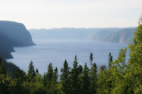 Activités en plein air et cuisine locale à découvrir dans la région touristique de Saguenay-Lac-Saint-Jean